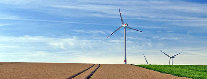 FDP Burscheid Klimaschutz